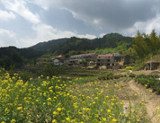 ��eɽ�r�Ҙ�