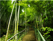 臨安白水澗風景區(qū)