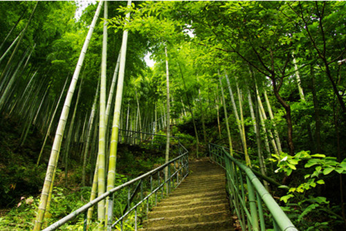 臨安白水澗風景區(qū)